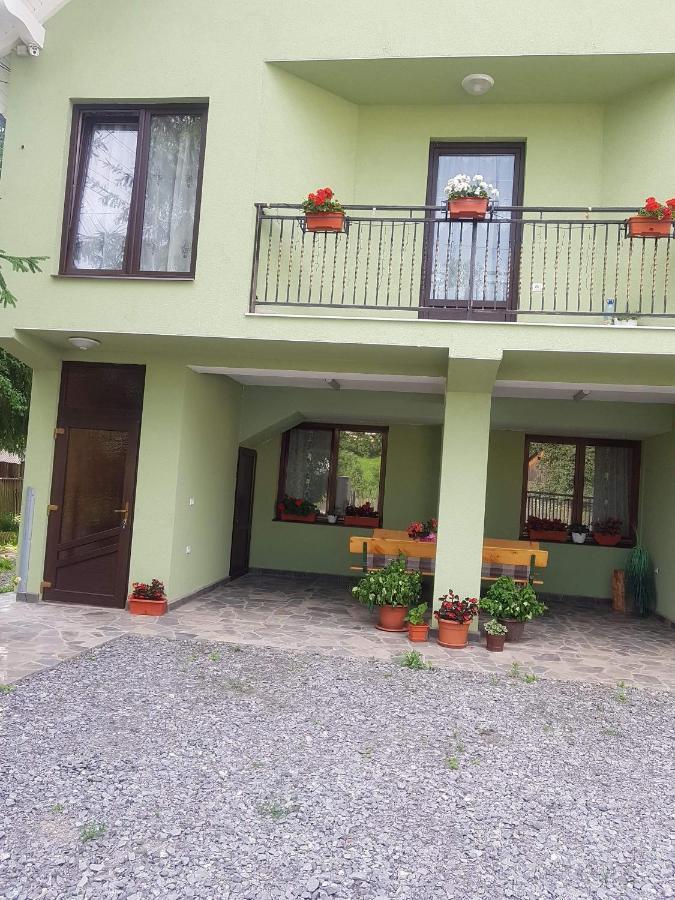Casa Alma Hotel Borsa  Kültér fotó