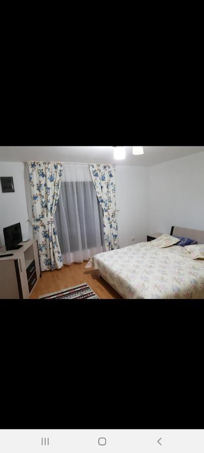 Casa Alma Hotel Borsa  Kültér fotó